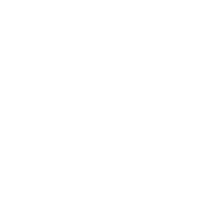 Andre Degrasse Family Foundation 294x300 White